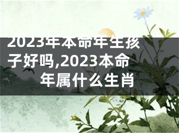 2023年本命年生孩子好吗,2023本命年属什么生肖