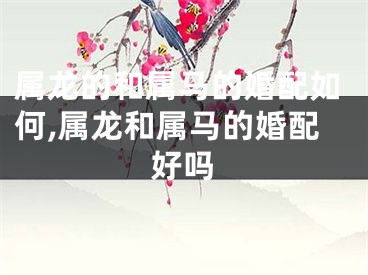 属龙的和属马的婚配如何,属龙和属马的婚配好吗