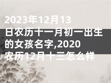 2023年12月13日农历十一月初一出生的女孩名字,2020农历12月十三怎么样