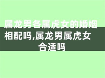 属龙男各属虎女的婚姻相配吗,属龙男属虎女合适吗