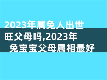 2023年属兔人出世旺父母吗,2023年兔宝宝父母属相最好