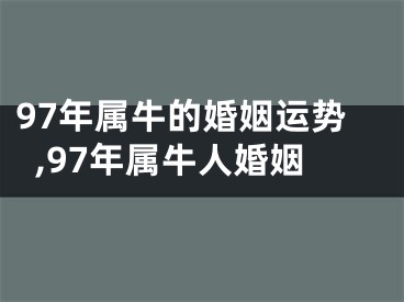 97年属牛的婚姻运势,97年属牛人婚姻