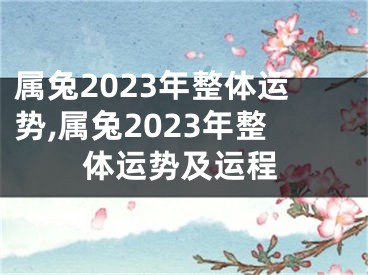 属兔2023年整体运势,属兔2023年整体运势及运程