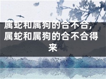 属蛇和属狗的合不合,属蛇和属狗的合不合得来