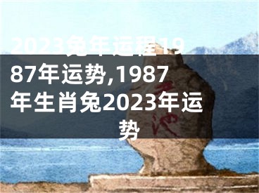 2023兔年运程1987年运势,1987年生肖兔2023年运势