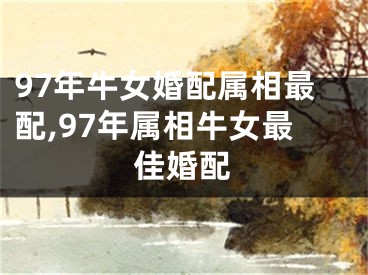 97年牛女婚配属相最配,97年属相牛女最佳婚配