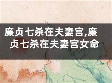 廉贞七杀在夫妻宫,廉贞七杀在夫妻宫女命