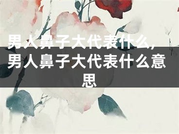 男人鼻子大代表什么,男人鼻子大代表什么意思