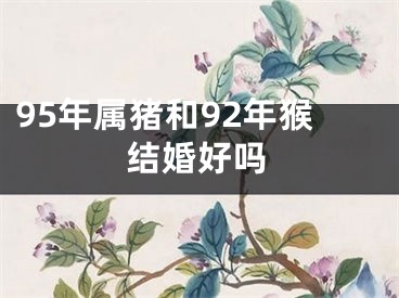 95年属猪和92年猴结婚好吗