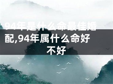 94年是什么命最佳婚配,94年属什么命好不好