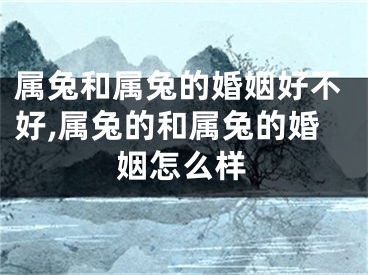 属兔和属兔的婚姻好不好,属兔的和属兔的婚姻怎么样