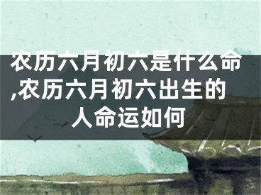 农历六月初六是什么命,农历六月初六出生的人命运如何
