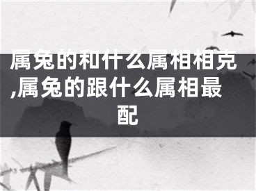 属兔的和什么属相相克,属兔的跟什么属相最配