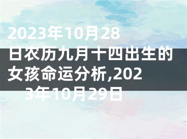 2023年10月28日农历九月十四出生的女孩命运分析,2023年10月29日