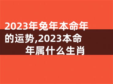 2023年兔年本命年的运势,2023本命年属什么生肖