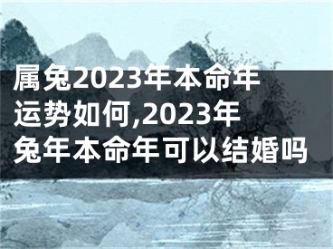 属兔2023年本命年运势如何,2023年兔年本命年可以结婚吗