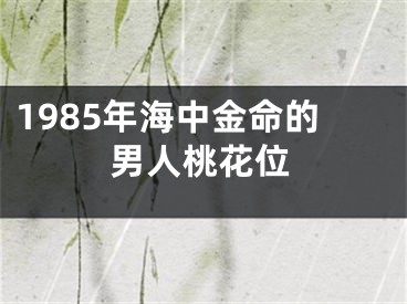 1985年海中金命的男人桃花位