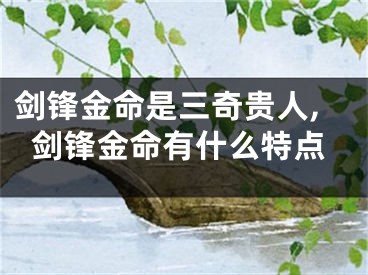 剑锋金命是三奇贵人,剑锋金命有什么特点