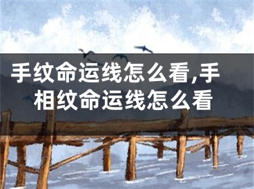 手纹命运线怎么看,手相纹命运线怎么看