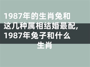 1987年的生肖兔和这几种属相结婚最配,1987年兔子和什么生肖