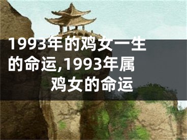 1993年的鸡女一生的命运,1993年属鸡女的命运
