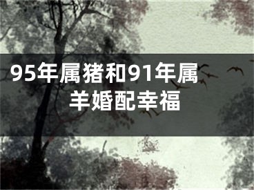 95年属猪和91年属羊婚配幸福
