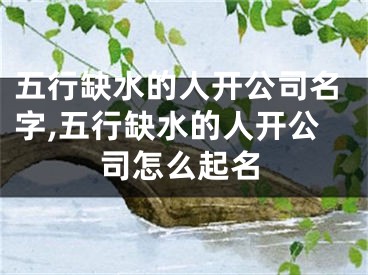 五行缺水的人开公司名字,五行缺水的人开公司怎么起名