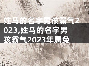 姓马的名字男孩霸气2023,姓马的名字男孩霸气2023年属兔