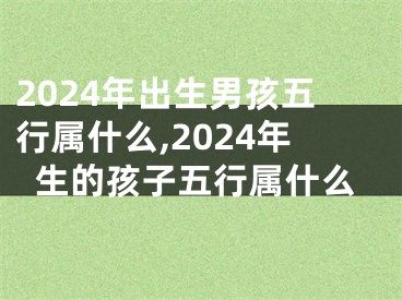 2024年出生男孩五行属什么,2024年生的孩子五行属什么