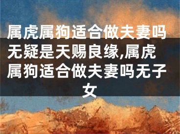 属虎属狗适合做夫妻吗无疑是天赐良缘,属虎属狗适合做夫妻吗无子女