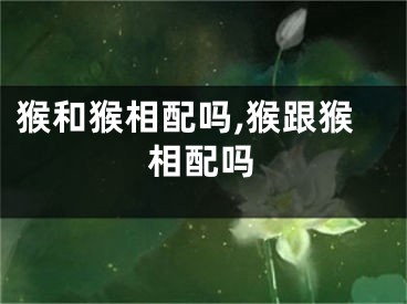 猴和猴相配吗,猴跟猴相配吗