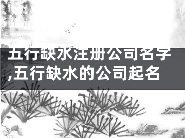 五行缺水注册公司名字,五行缺水的公司起名