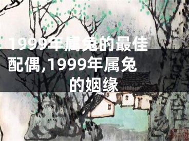 1999年属兔的最佳配偶,1999年属兔的姻缘