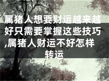 属猪人想要财运越来越好只需要掌握这些技巧,属猪人财运不好怎样转运
