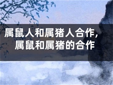 属鼠人和属猪人合作,属鼠和属猪的合作