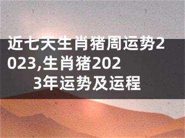 近七天生肖猪周运势2023,生肖猪2023年运势及运程