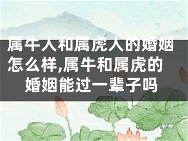 属牛人和属虎人的婚姻怎么样,属牛和属虎的婚姻能过一辈子吗