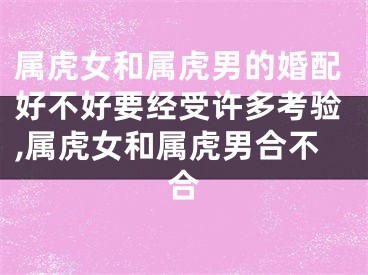 属虎女和属虎男的婚配好不好要经受许多考验,属虎女和属虎男合不合