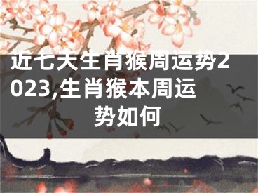 近七天生肖猴周运势2023,生肖猴本周运势如何