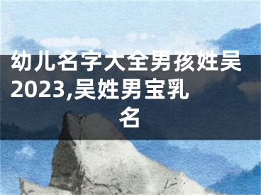 幼儿名字大全男孩姓吴2023,吴姓男宝乳名