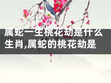 属蛇一生桃花劫是什么生肖,属蛇的桃花劫是