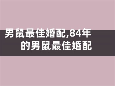 男鼠最佳婚配,84年的男鼠最佳婚配