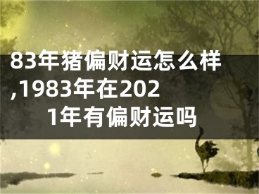 83年猪偏财运怎么样,1983年在2021年有偏财运吗