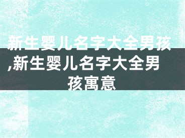 新生婴儿名字大全男孩,新生婴儿名字大全男孩寓意