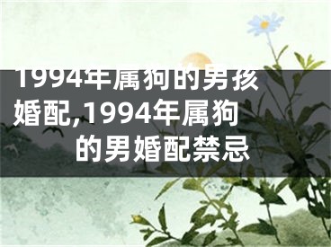 1994年属狗的男孩婚配,1994年属狗的男婚配禁忌