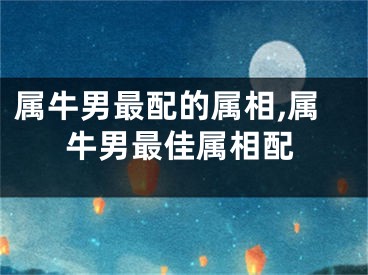 属牛男最配的属相,属牛男最佳属相配