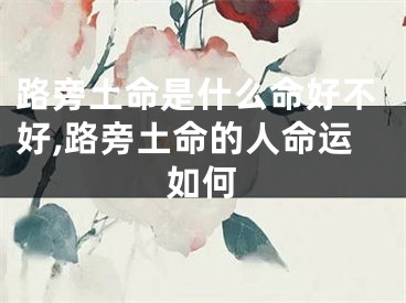 路旁土命是什么命好不好,路旁土命的人命运如何
