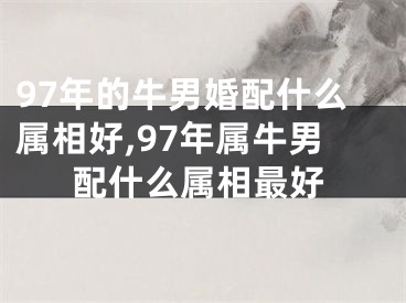 97年的牛男婚配什么属相好,97年属牛男配什么属相最好