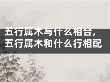 五行属木与什么相合,五行属木和什么行相配