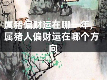 属猪偏财运在哪一年,属猪人偏财运在哪个方向